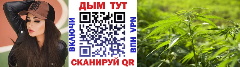 A PVP Тейково