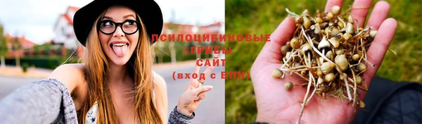 2c-b Ладушкин