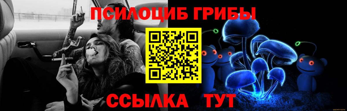Тейково  где продают наркотики  Вход с VPN  Псилоцибиновые грибы GOLDEN TEACHER 