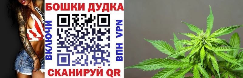 Бошки марихуана семена  как найти   Тейково 